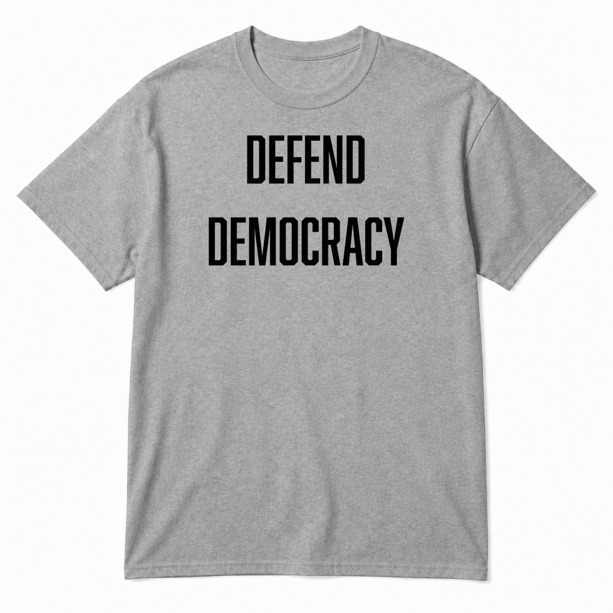 DEFEND DEMOCRACY T-Shirt in Gray